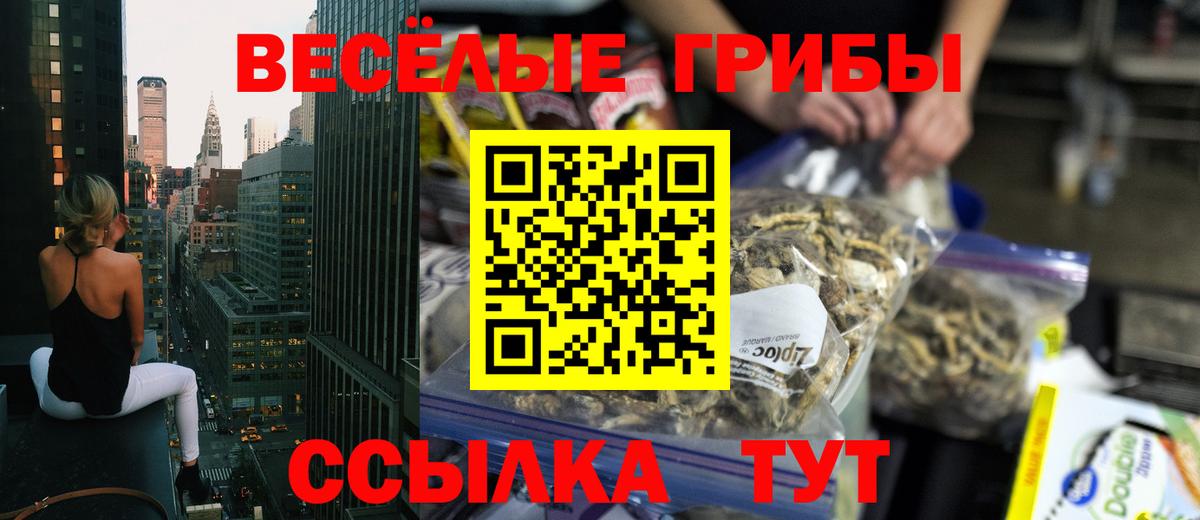 Галлюциногенные грибы Cubensis  Псилоцибиновые грибы мицелий  продажа наркотиков  Вход с VPN  Калуга 